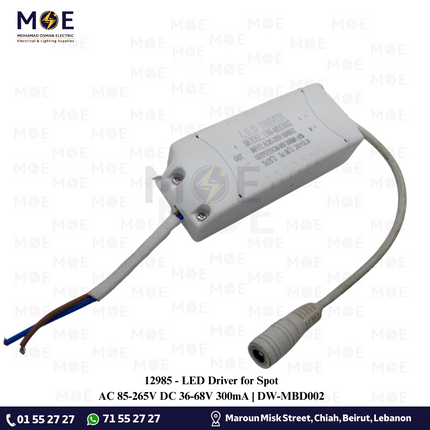 LED Driver for Spot AC 85-265V DC 36-68V 300mA | DW-MBD002 | ترانس ليد سبوت