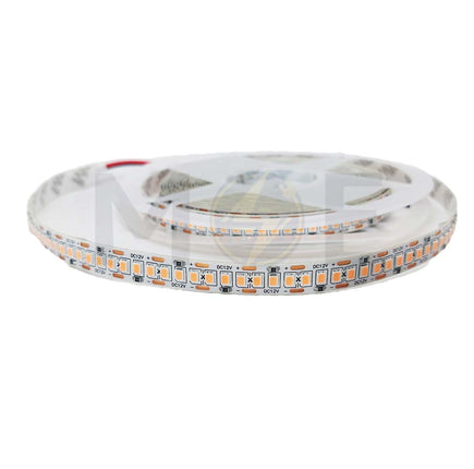 OB IP20 LED Strip Light Purple 12V 22W/mt 2835 240Led R5mt | 240D P-12