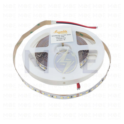 Greenlite IP20 LED Strip Light CoolWhite 85W 24V 2835 4000K 240Led R5mt - بكرة ستريب ليد كول وايت