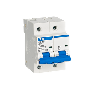 Chint MCCB C NXB-125 10kA 2P 125A | 816135 دجنتور مجوز