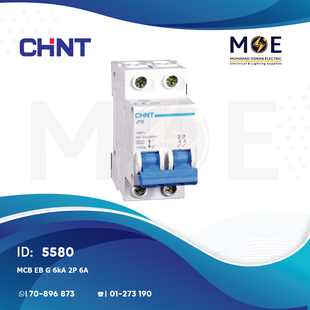 Chint MCB EB G 6kA 2P 6A | TE0015 | دجنتور كهرباء مجوز - قاطع كهربائي