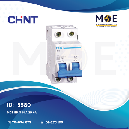 Chint MCB EB G 6kA 2P 6A | TE0015 | دجنتور كهرباء مجوز - قاطع كهربائي