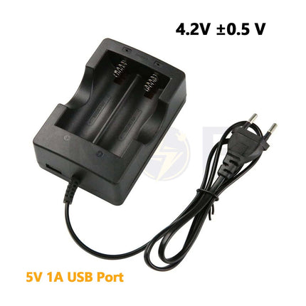 Lithium Battery Charger Dual 4.2V 0.5A | HD-999A29