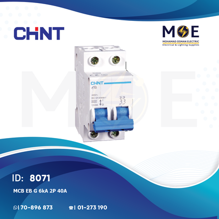 Chint MCB EB G 6kA 2P 40A | TE0021 | دجنتور كهرباء مجوز - قاطع كهربائي
