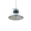 Pigozzo Aluminum LED High Bay Pendant Light Daylight 50W | LED-HB P50W-DL