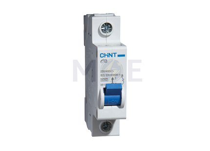 Chint MCB EB G 6kA 1P 4A | TE0004 دجنتور مفرد