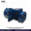 Pedrollo Water Pump Multi-stage centrifugal 2Bar 0.5HP | PE20095-2CPM 80 | موتور مياه بلاستيك صامت