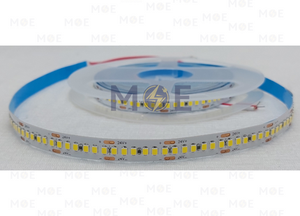 IP20 LED Strip Light Single Coolwhite 24V 2835 240Led R5mt | بكرة ستريب ليد كول وايت
