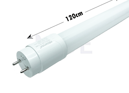 Megaman LED Tube Lamp CoolWhite T8 1800Lm 120cm 18W | YTT8Z1