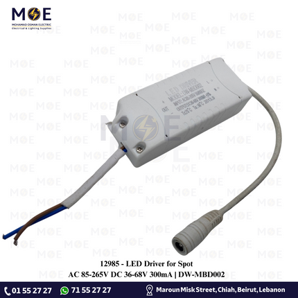 LED Driver for Spot AC 85-265V DC 36-68V 300mA | DW-MBD002