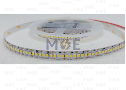 SEG IP20 LED Strip Light Single CoolWhite DC 12V 240Led 4000K R5mt | بكرة ستريب ليد كول وايت