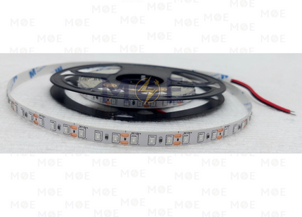 Diamond IP20 LED Strip Light Single Blue 12W/mt 12V 2835 120Led R5mt | بكرة ستريب ليد ازرق