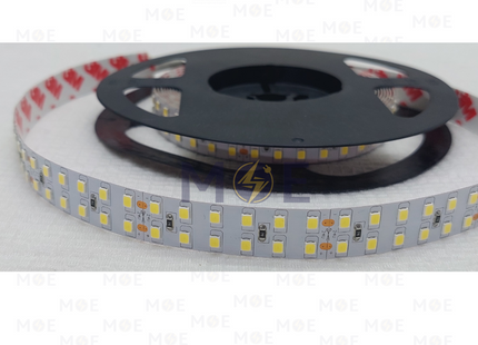 IP20 Double LED Strip Light Double Daylight 24V 2835 240Led 48W/mt R5mt | 385598 | بكرة ستريب ليد دوبل دايلايت