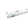 Philips LED Tube Lamp DayLight 765 T8 120cm 16W  929003088408