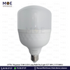 Megaman T100 LED Lamp Bulb DayLight E27 30W | YTT100X1