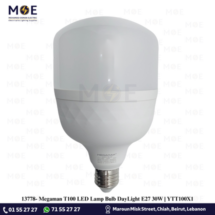 Megaman T100 LED Lamp Bulb DayLight E27 30W | YTT100X1