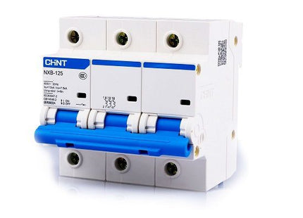Chint MCCB C NXB-125 10kA 3P 100A | 816141 دجنتور صناعي 3 فاز