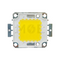 LED Chips