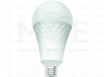 Megaman LED Lamp Bulb Warmwhite E27 25W | YTA95X1 | لمبة ليد برم مزخرفة ورم وايت