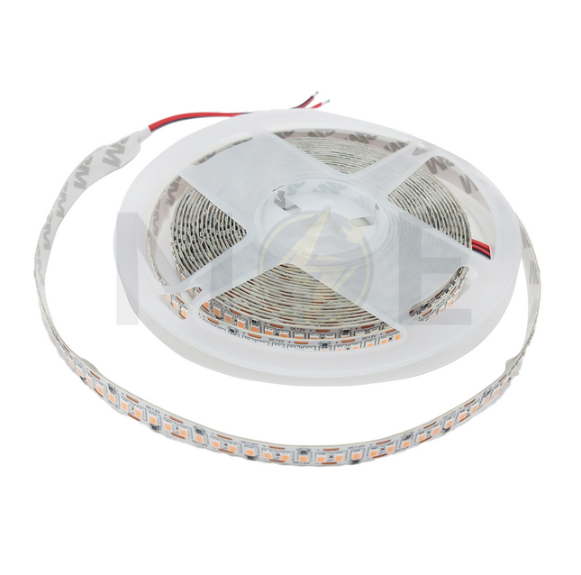OB IP20 LED Strip Light Purple 12V 22W/mt 2835 240Led R5mt | 240D P-12