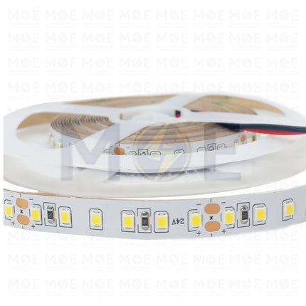 Greenlite IP20 LED Strip Light CoolWhite 85W 24V 2835 4000K 240Led R5mt  - بكرة ستريب ليد كول وايت