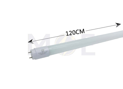 OB LED Tube Lamp Cool white T8 4000K 120cm 22W