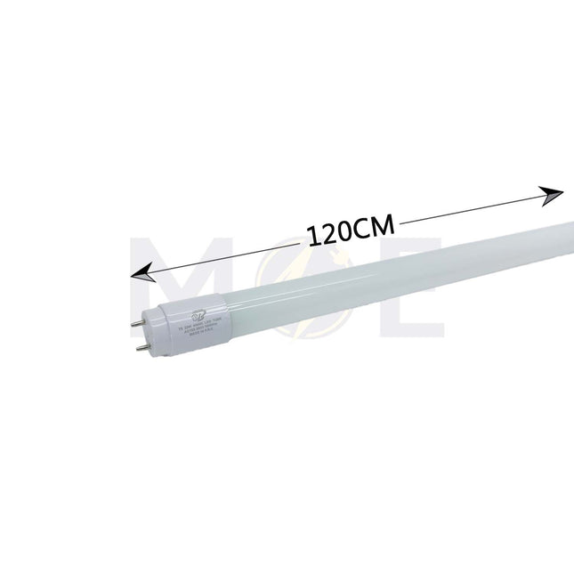 OB LED Tube Lamp Cool white T8 4000K 120cm 22W