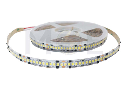 Classic Light IP44 LED Strip Light Daylight 6500K 220V AC 2835 10mm 16Wmt 240Led R10mt