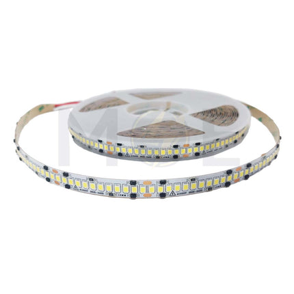 Classic Light IP44 LED Strip Light Daylight 6500K 220V AC 2835 10mm 16Wmt 240Led R10mt