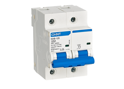 Chint MCCB C NXB-125 10kA 2P 125A | 816135 دجنتور مجوز