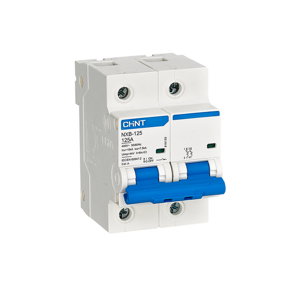Chint MCCB C NXB-125 10kA 2P 125A | 816135 دجنتور مجوز