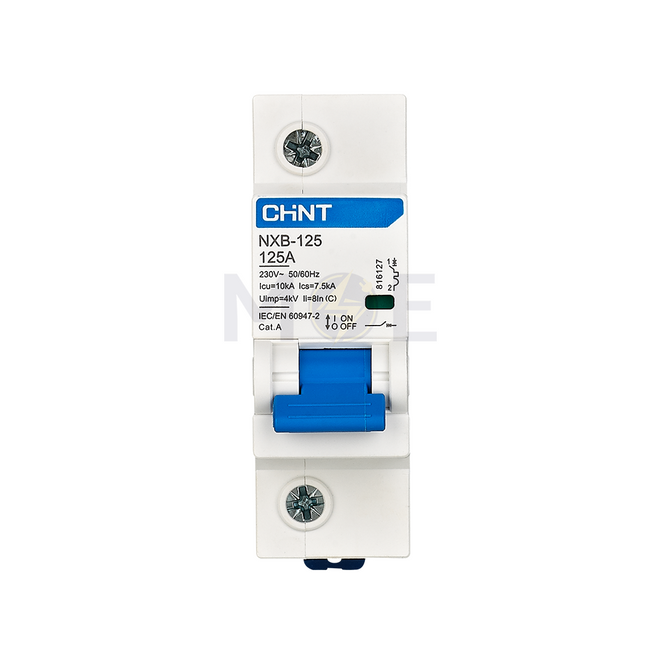 Chint MCCB C NXB-125 10kA 2P 125A | 816135 دجنتور مجوز