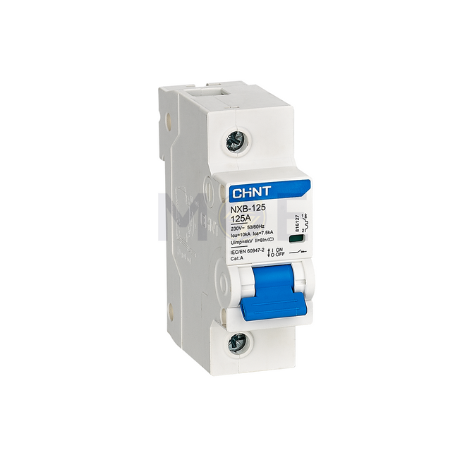 Chint MCCB C NXB-125 10kA 2P 125A | 816135 دجنتور مجوز