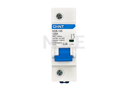Chint MCCB C NXB-125 10kA 1P 125A | 816127 دجنتور صناعي مفرد
