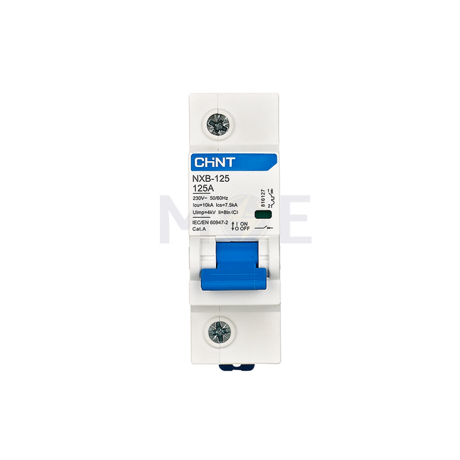 Chint MCCB C NXB-125 10kA 1P 125A | 816127 دجنتور صناعي مفرد
