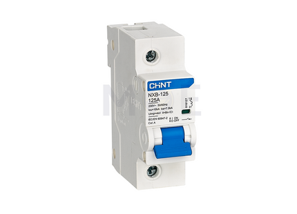 Chint MCCB C NXB-125 10kA 1P 125A | 816127 دجنتور صناعي مفرد