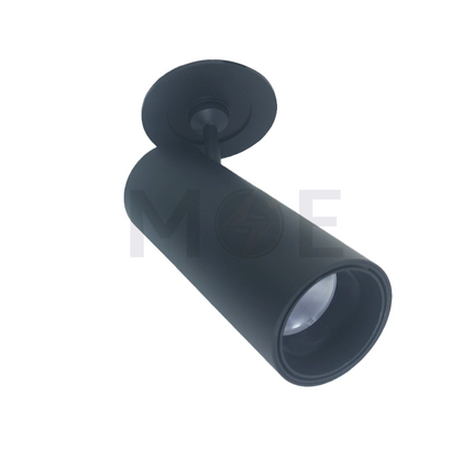 Classic Light LED DownLight/Panel Light Black Flush Adjustable Cylinder Spot Daylight, Warmwhite, Coolwhite 16.8x6.7cm 30W  | CL-T232CT-CCT