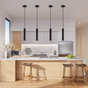Onlex Long Tube Pipe Pendant Lamp Frame Black GU10 MR16 55x300mm | LX-1701 تنزيلة فارغة مفردة كعب ستارتر اسود شكل تيوب اسود