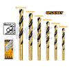 INGCO HSS Metal Drill Bit Set 6Pcs (2mm,3mm,4mm,5mm,6mm,8mm) | AKDB1065