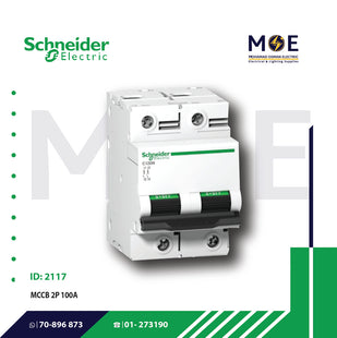 Schneider MCB 2P C 10kA 100A Fix | A9N18362 | دجنتور صناعي على سكة مجوز