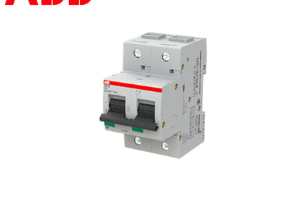 ABB MCB S802B C100 2P 16kA 100A | 2CCS812001R0824 | دجنتور صناعي على سكة
