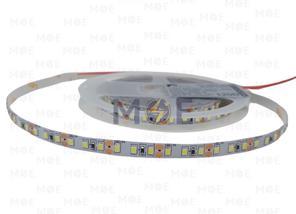 SEG IP20 LED Strip Light Single DayLight DC 12V 120Led R5mt | بكرة ستريب ليد دايلايت