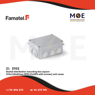 Famatel Sealed distribution mounting box Rectangle 153x110x63mm IP55 (Cover with screws) exit cones | 3012 FM | علبة مربعة ظاهرة مطرية مع فتحات