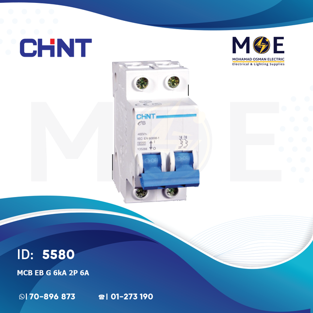 Chint MCB EB G 6kA 2P 6A | TE0015 | دجنتور كهرباء مجوز - قاطع كهربائي