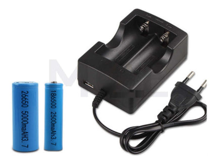 Lithium Battery Charger Dual 4.2V 0.5A | HD-999A29