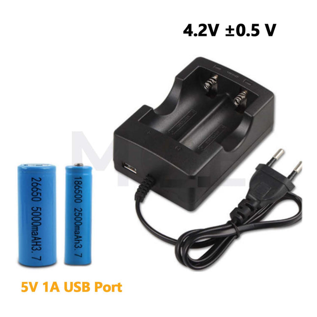 Lithium Battery Charger Dual 4.2V 0.5A | HD-999A29