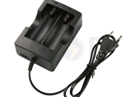 Lithium Battery Charger Dual 4.2V 0.5A | HD-999A29