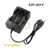 Lithium Battery Charger Dual 4.2V 0.5A | HD-999A29