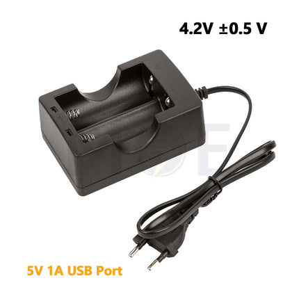Lithium Battery Charger Dual 4.2V 0.5A | HD-999A29