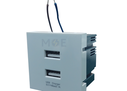 Orient USB Power Supply Unit Charger White 5V 2.1A 2module | F33 | بريز تشريج ابيض